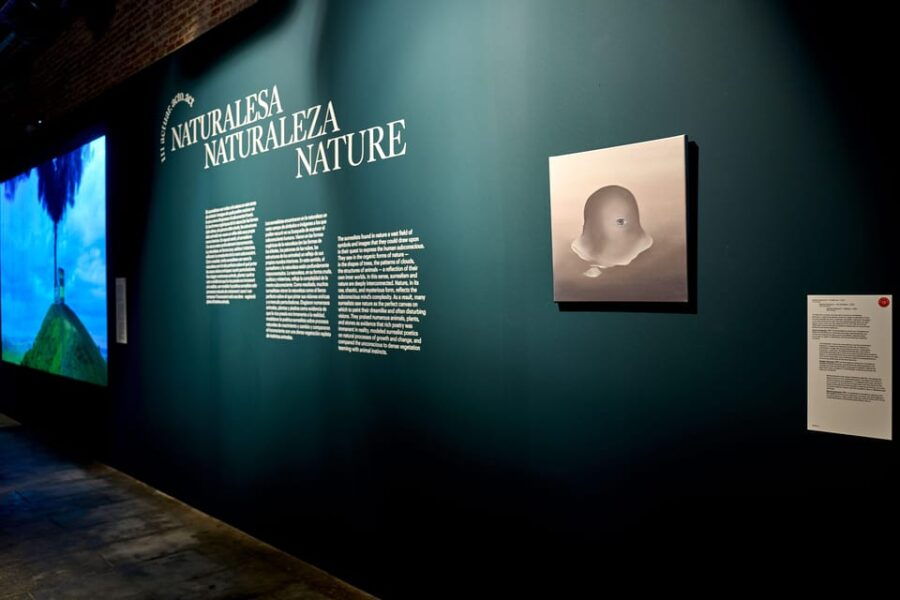 Barcelona: Museum NOU / SUR PLAY Exhibition Ticket - Ticket Pricing and Options