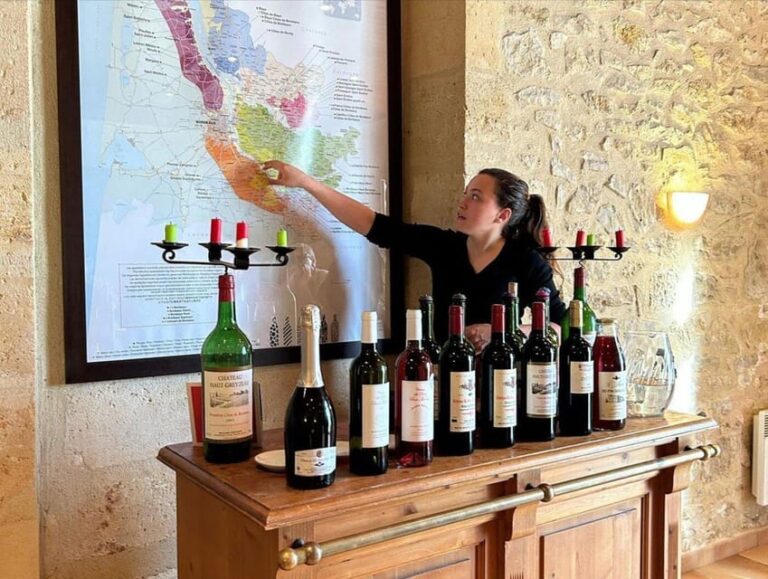 Bordeaux: Explore an Organic Family Vineyard With Tasting