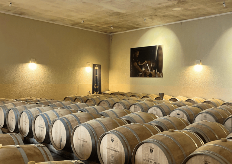 Bordeaux: Unforgettable Saint Emilion Half Day Wine Tour