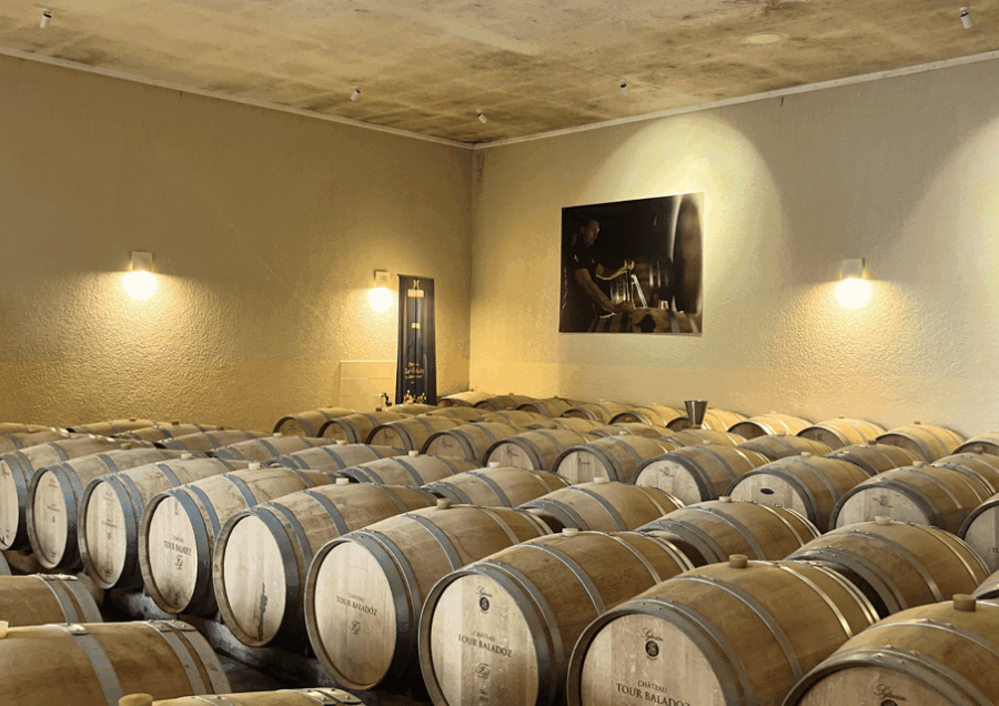 Bordeaux: Unforgettable Saint Emilion Half Day Wine Tour - Tour Overview and Details