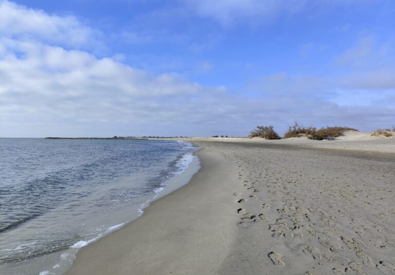 Camargue, Its Secrets and Its Magic: an Exclusive Tour