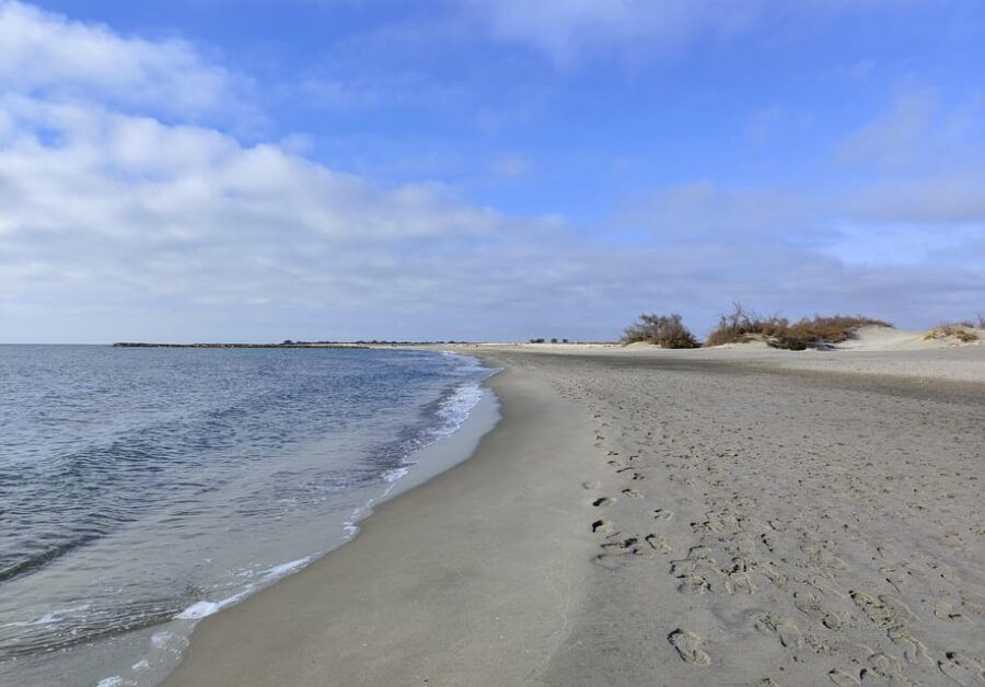 Camargue, Its Secrets and Its Magic: an Exclusive Tour - Tour Overview