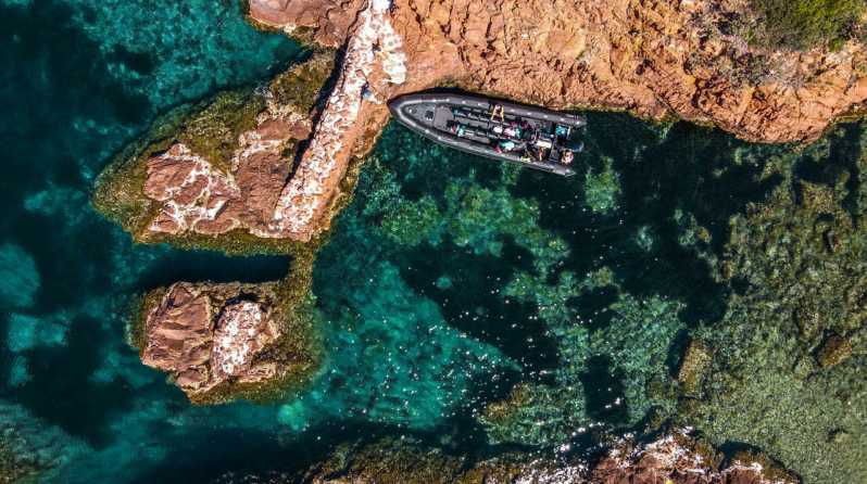 Cannes: 2.5-Hour Esterel Calanques Boat Excursion - Excursion Overview