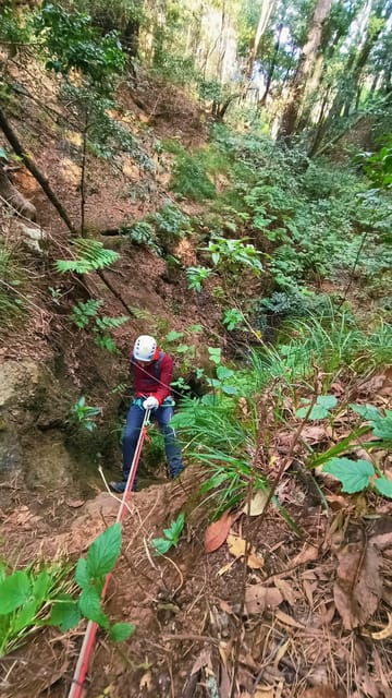 Canyoning Tenerife: Canyoning Adventure