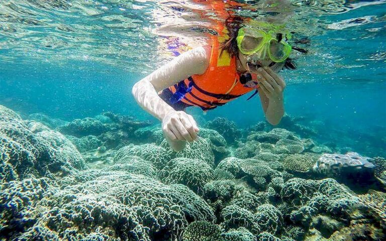 Cham Island Tour: Snorkeling & Spa From Da Nang/Hoi an