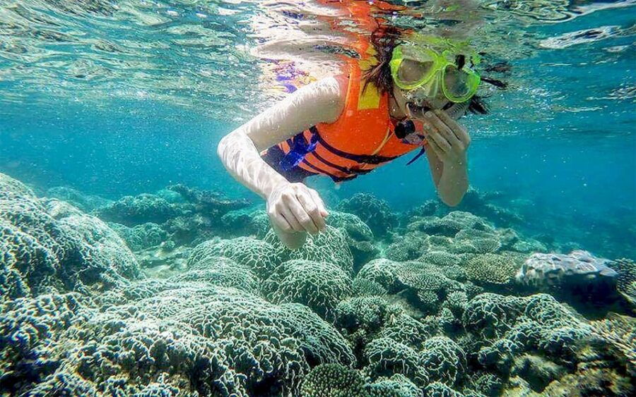 Cham Island Tour: Snorkeling & Spa From Da Nang/Hoi an - Itinerary and Activities