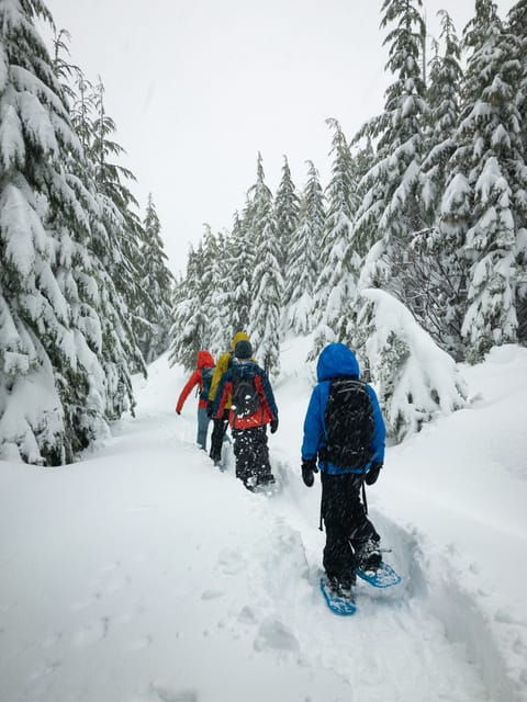 Chamonix: Snowshoeing Under the Stars
