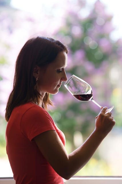 Château Olivier: One Hour Vineyard Tour With Wine Tasting - Vineyard Overview