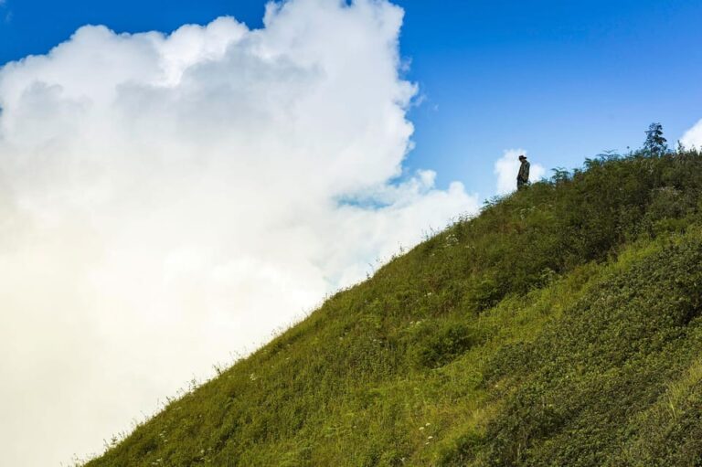Chiang Mai: Doi Inthanon National Park, Waterfall & Lunch