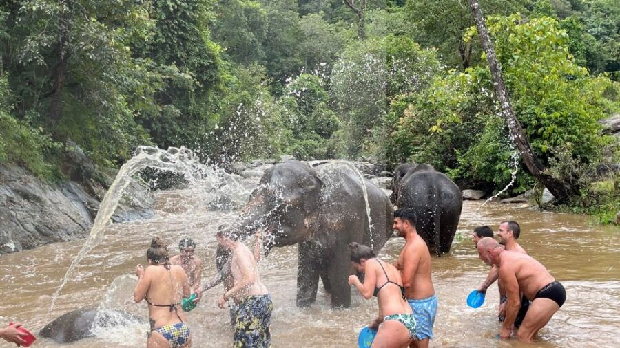 Chiang Mai: Elephant Sanctuary & Waterfall Group Tour - Tour Overview and Details