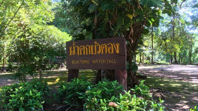 Chiang Mai: Sticky Waterfall, Chet Si Fountain Park Transfer