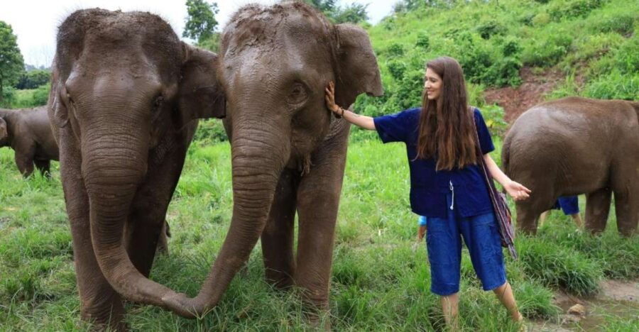 Chiang Mai Untouched Elephant: Nature Walk & Waterfall Trek - Tour Overview