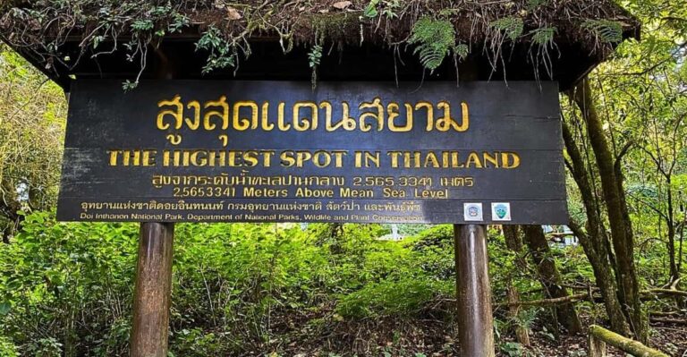 Chiang Mai:Doi Inthanon National Park & Hike at Kew Mae Pan