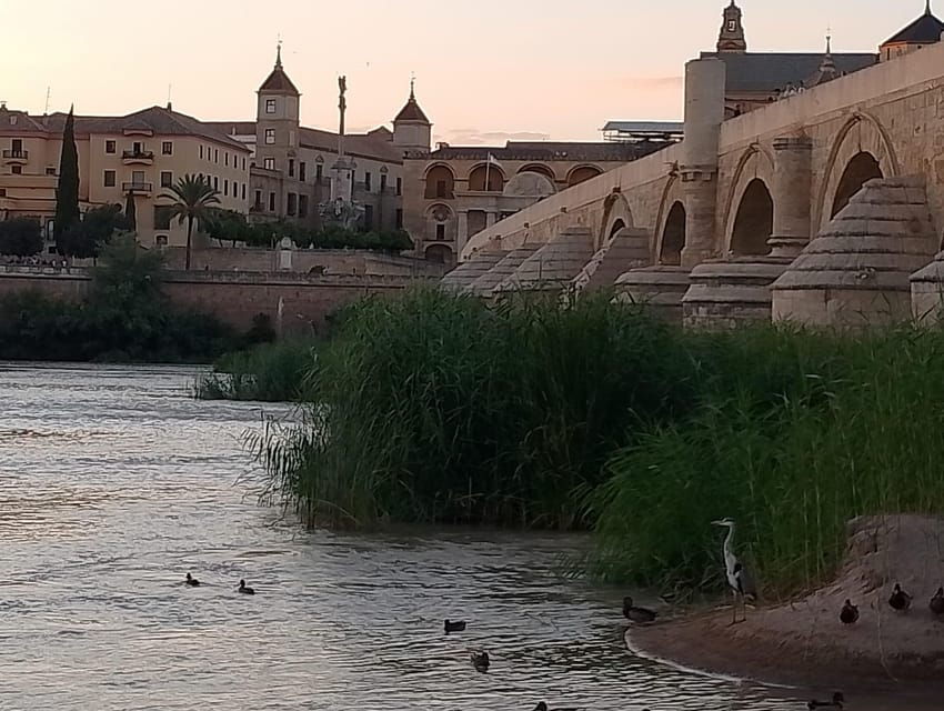 Córdoba: Tour of the Three Cultures to See the City in a Day - Overview of the Tour Experience