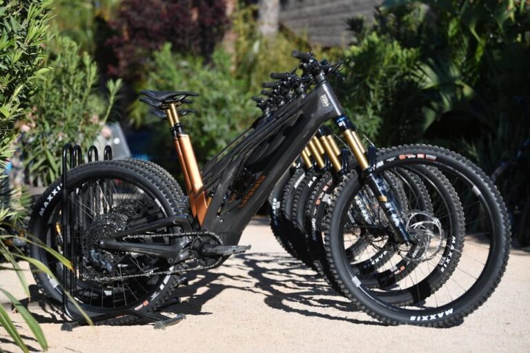 Côte Dazur: E-Bike Rental