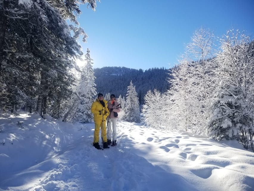 Courchevel: Snowshoeing or Nordic Walking - Overview of Snowshoeing and Nordic Walking in Courchevel