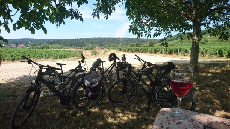 Dijon: Half-Day Guided Gourmet Bike Tour