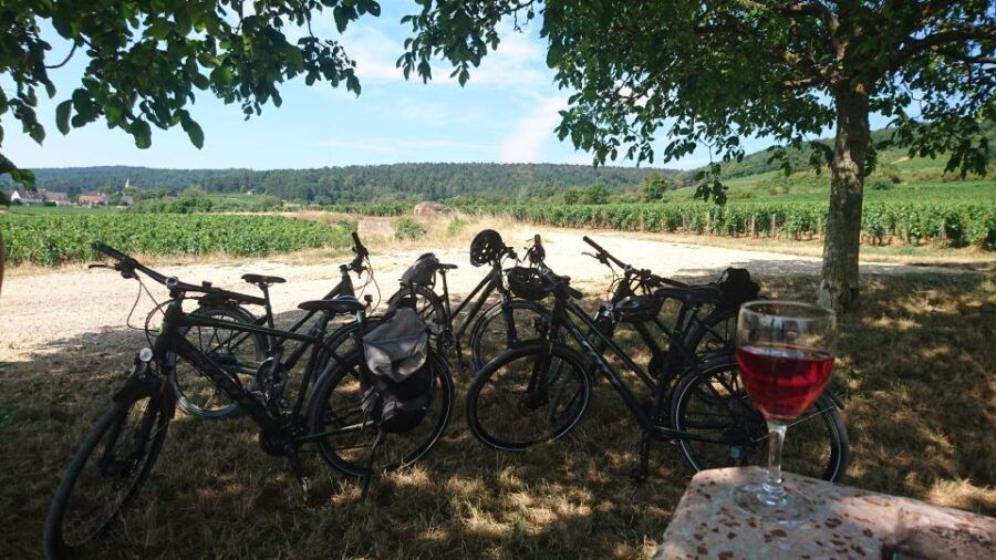 Dijon: Half-Day Guided Gourmet Bike Tour - Tour Overview