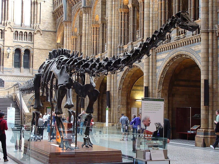 Discover Evolution at the Natural History Museum - Tour Highlights