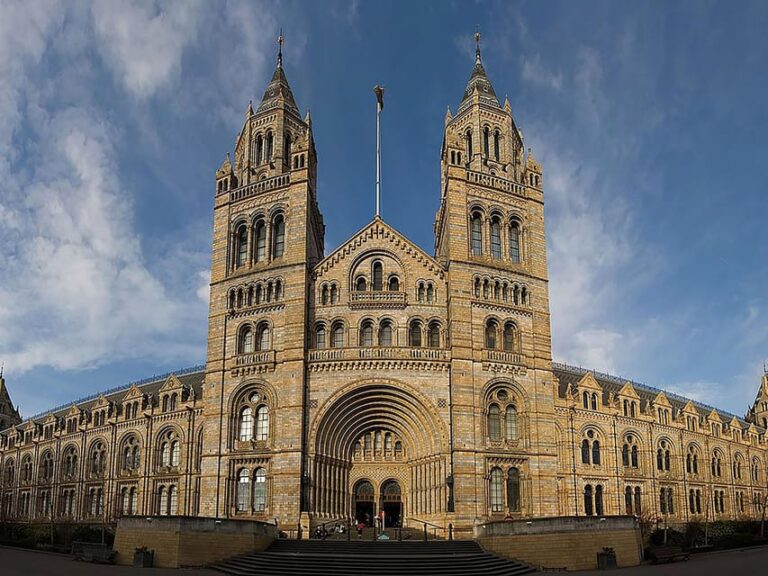 Discover Fossils & Gems at Natural History Museum