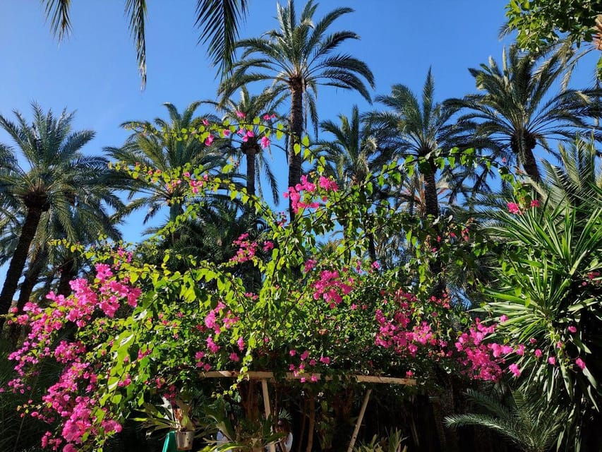 Elche: Walking Tour Through the Historic Center and Botanical Garden Huerto De Cura - Elches UNESCO Heritage Sites