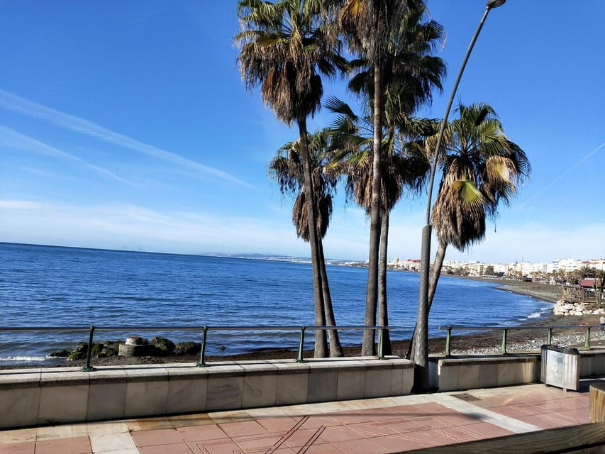 Estepona Walking Tour - City History, Culture & Gastronomy - Tour Overview