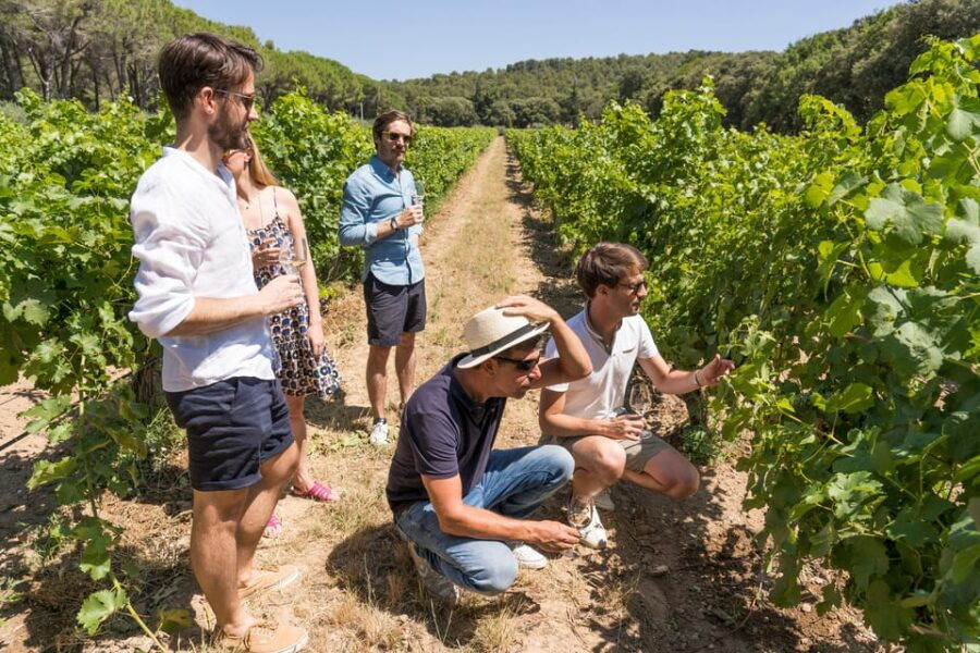 From Aix En Provence: Bandol & Cassis Full-Day Wine Tour - Highlights of Cassis