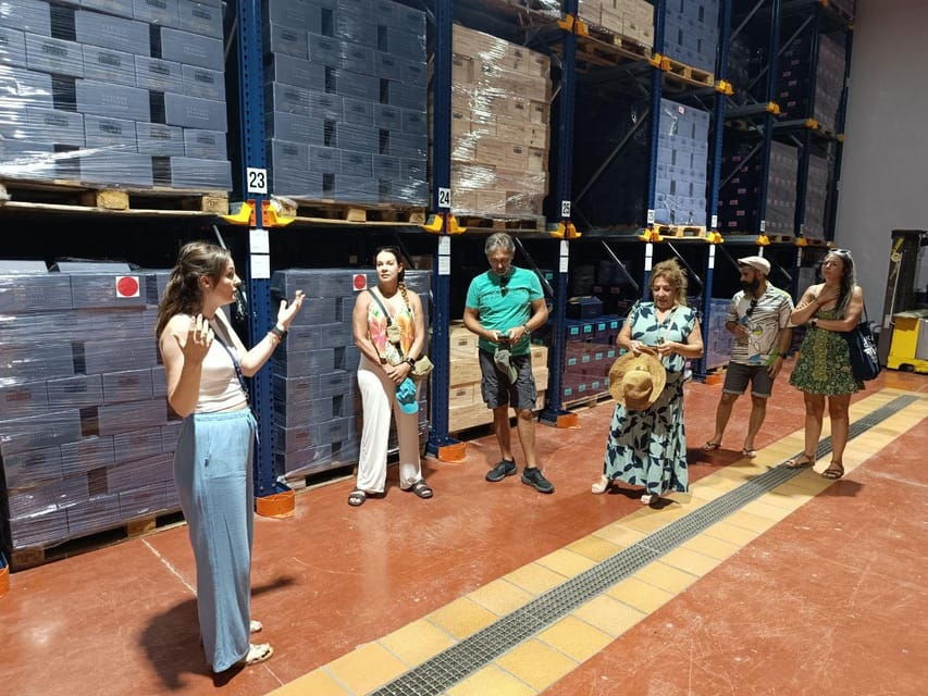 From Alicante ,Benidorm: Winery Tour and Wine Tasting - Tour Overview and Pricing