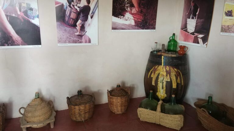 From Alicante & Elche: Family Owned Rural Winery (Tasting)