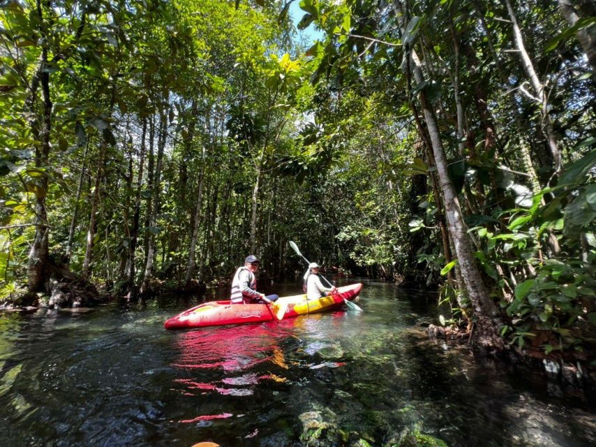 From Ao Nang: Kayaking at Klong Rud With Hotel Transfers - Activity Overview