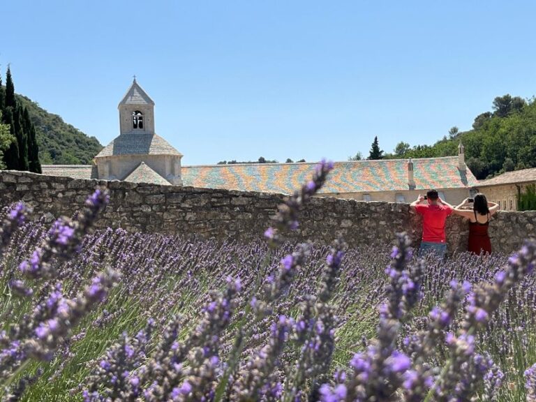 From Avignon: Lavender Tour Around Valensole or Sault