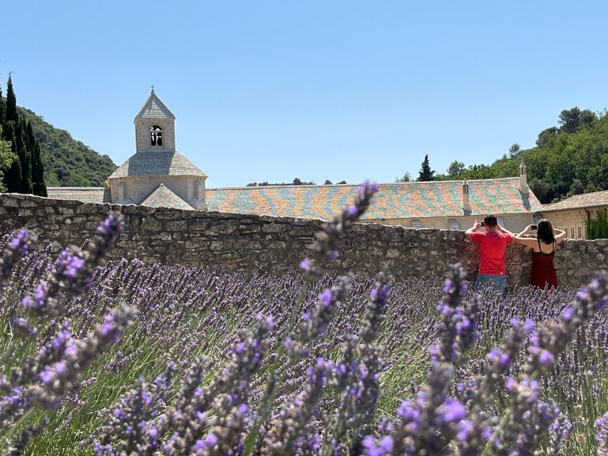 From Avignon: Lavender Tour Around Valensole or Sault - Tour Overview and Highlights