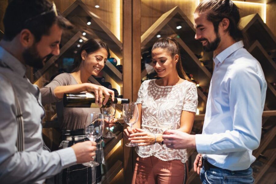 From Bordeaux: Medoc Half-Day Wine Tour - Tour Overview