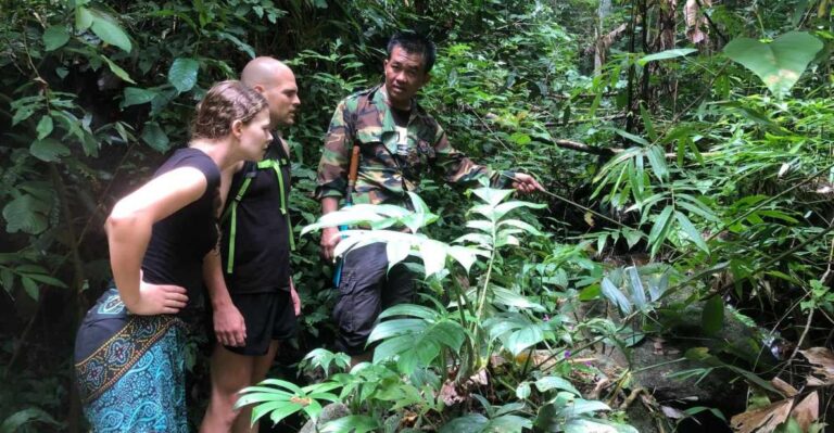 From Chiang Mai: Doi Saket Hiking Tour With Lunch