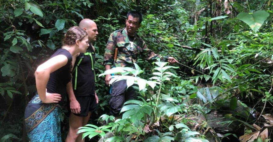 From Chiang Mai: Doi Saket Hiking Tour With Lunch - Tour Overview