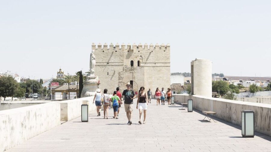 From Costa Del Sol & Malaga: Cordoba Guided Day Tour - Tour Overview and Pricing
