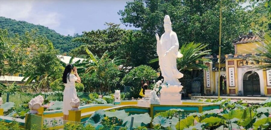 From Da Nang: Cham Island Day Trip - Tour Overview and Pricing