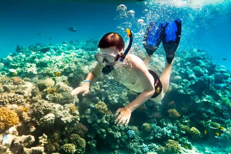 From Da Nang/Hoi An: Cham Islands Tour With Snorkeling