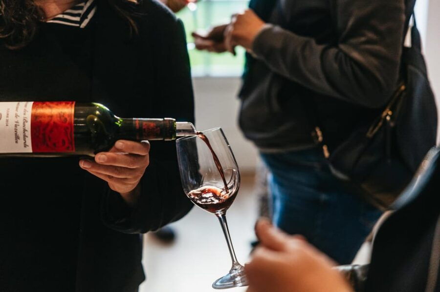 From Lyon: Beaujolais Region Wine Tour With Tastings - Overview of the Beaujolais Wine Tour