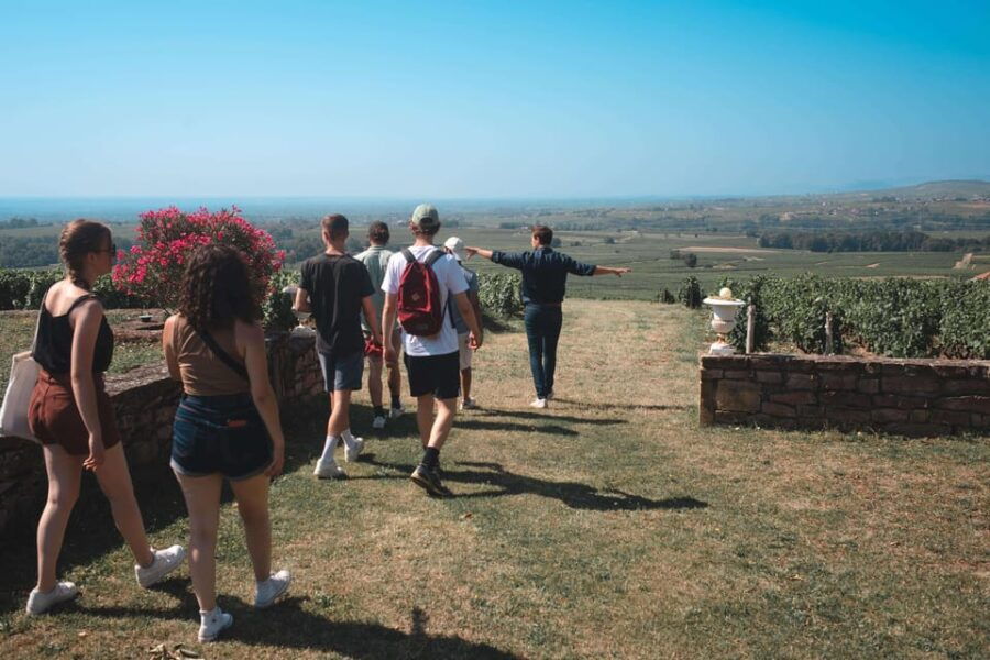 From Lyon: Burgundy Private Half Day Tour by Defender - Overview of the Burgundy Tour Experience