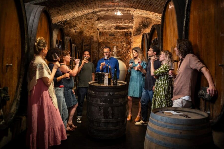 From Strasbourg: Private Alsace Classic Wine Tour - Overview of the Alsace Classic Wine Tour