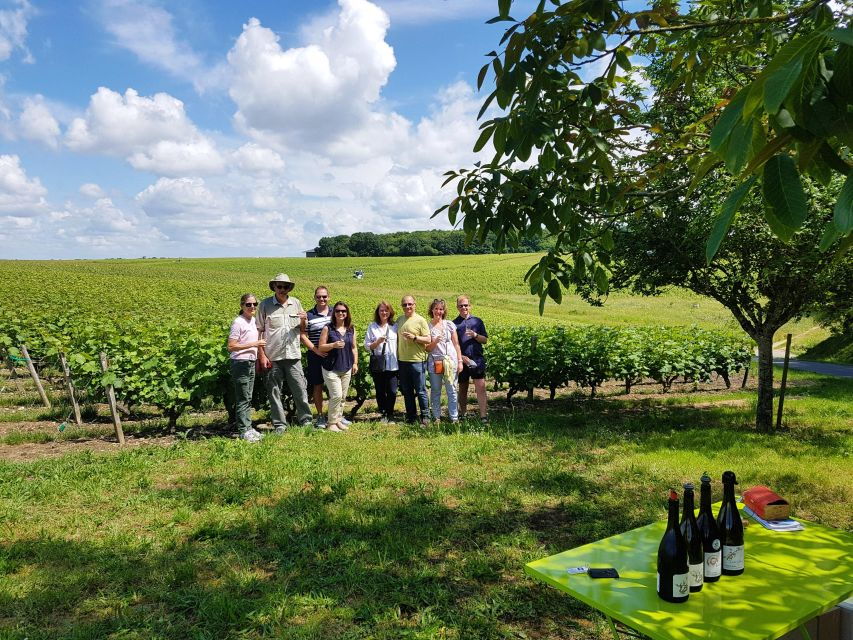 From Tours: Afternoon Loire Valley Wine Tour to Vouvray - Overview of the Wine Tour Experience