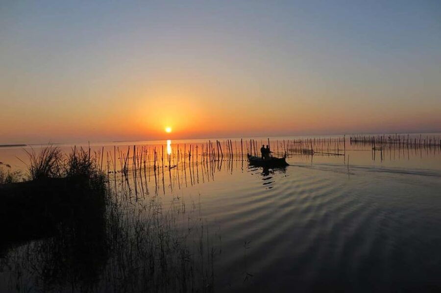 From Valencia: Albufera Boat Ride & Food (Paella) Included - Overview and Pricing