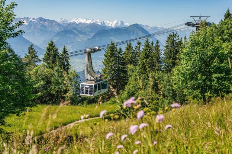 From Zurich: Mount Rigi and Lucerne Small-Group Day Trip