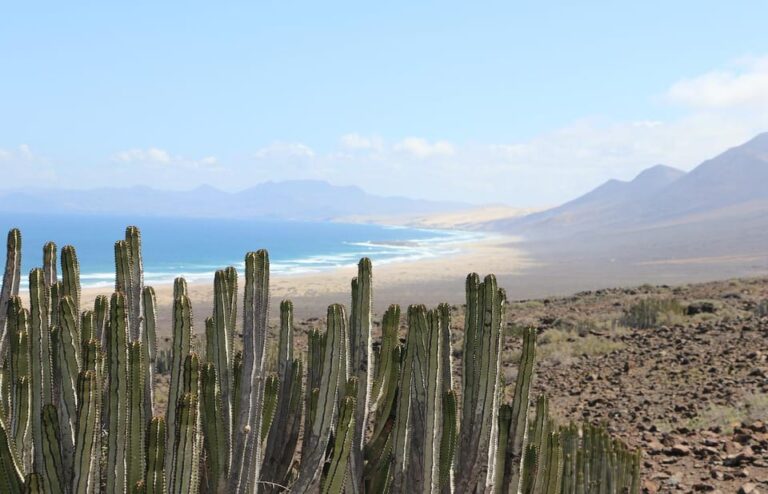 Fuerteventura: Cofete Safari