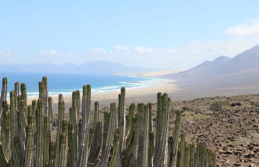 Fuerteventura: Cofete Safari - Pickup Locations and Transfer Details