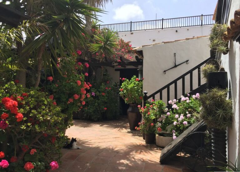 Fuerteventura: Full Day Tour With Lunch