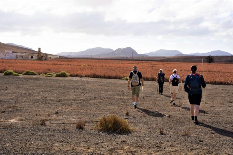 Fuerteventura: Volcanic Hike to the Crater Edge