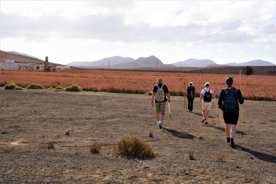 Fuerteventura: Volcanic Hike to the Crater Edge - Overview of the Gayria Volcano Hike