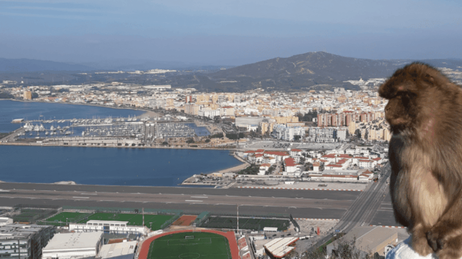 Gibraltar: Guided Tour From the Costa Del Sol - Tour Overview